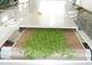 Moringa εξοπλισμού αποστείρωσης μικροκυμάτων PLC ξεραίνοντας φύλλα φούρνων φύλλων ξηρότερα