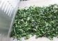 Moringa εξοπλισμού αποστείρωσης μικροκυμάτων PLC ξεραίνοντας φύλλα φούρνων φύλλων ξηρότερα
